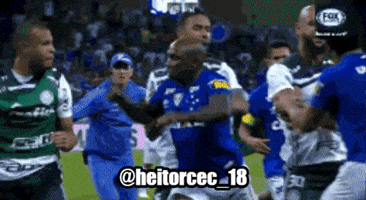 Palestra Italia Cruzeiro GIF