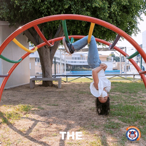 The American School GIF