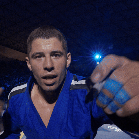 Art of Jiu Jitsu GIF