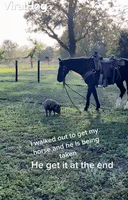 Pig Attempts to Steal Horse