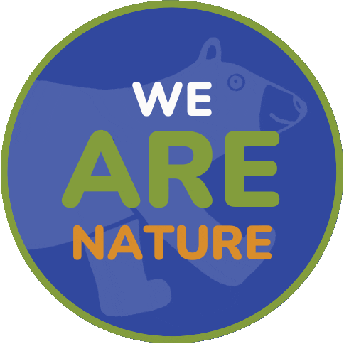 Wild Bear Nature Center Sticker