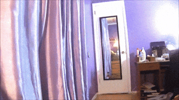 no1  GIF