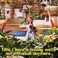 Not In Kansas GIFs - Get the best GIF on GIPHY