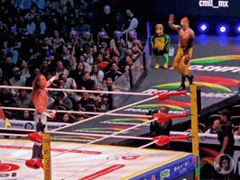 Wrestling Wrestler GIF