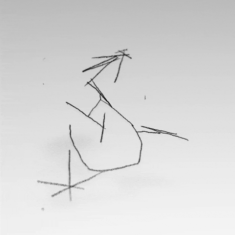 _daanlucas_ bird abstract peaceful wacky GIF