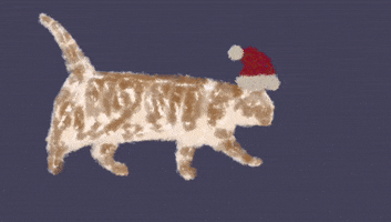 Cat Christmas GIF by Illustrator.aki