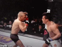 [Obrazek: 200w.webp]