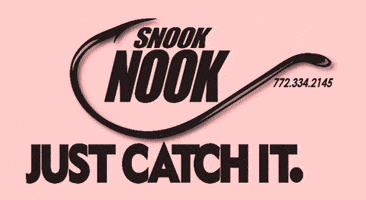 Fishing Snook GIF