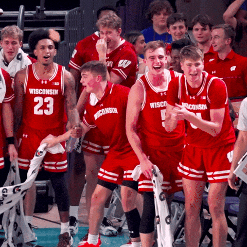 Happy Oh My God GIF by Wisconsin Badgers