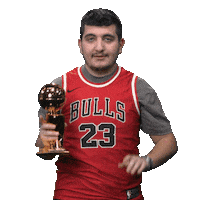 Nba Armenian Sticker by Vivaro Media