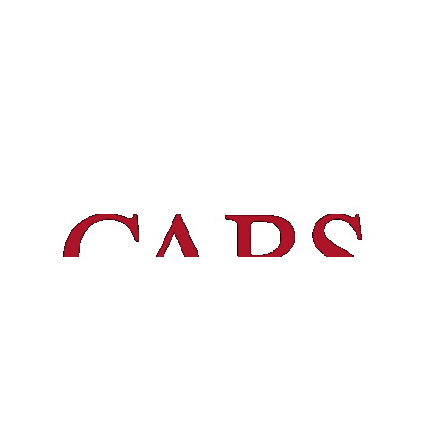 CARS Worldwide Sticker