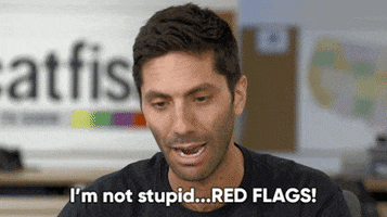 Im Not Stupid Red Flag GIF by Catfish MTV