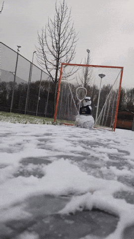 GIF by delftlacrosse