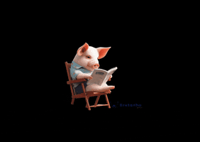 bretanhasuinos GIF