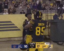 Cats Celebrate GIF