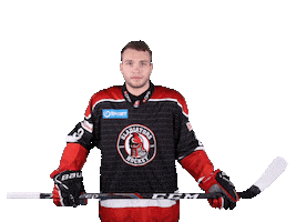 TIPOS Slovenská hokejová liga Sticker