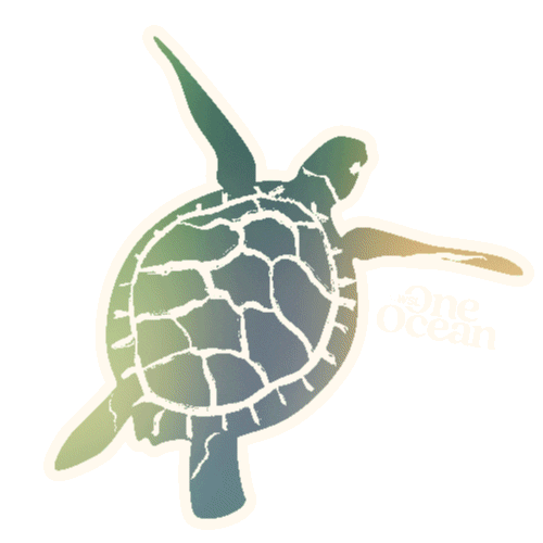 Ocean Planet Sticker by World Surf League