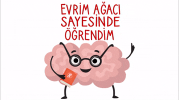 Kitap GIF by Evrim Ağacı