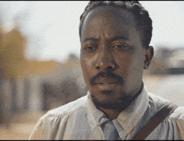 Dog Throw GIF by Inchiology