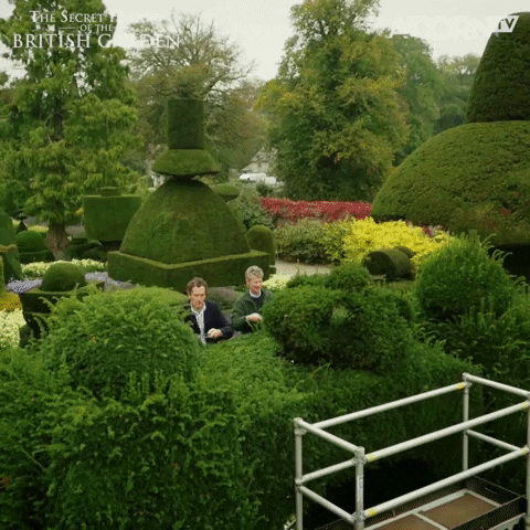 Grooming British GIF by Acorn TV - Find & Share on GIPHY