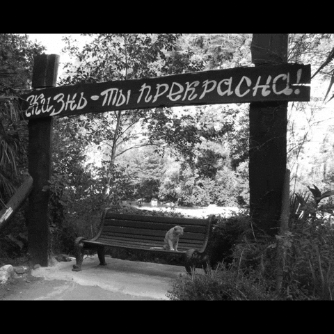 Грустно Жизнь GIF