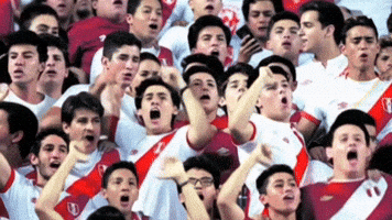 World Cup Soccer GIF