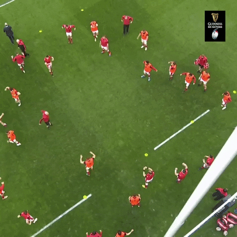 The Boys Sport GIF by Guinness Six Nations