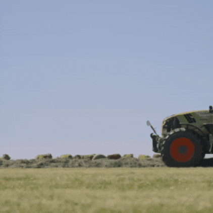 Cow Grass GIF by CLAAS