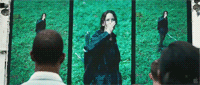 Let-the-hunger-games-begin GIFs - Get the best GIF on GIPHY