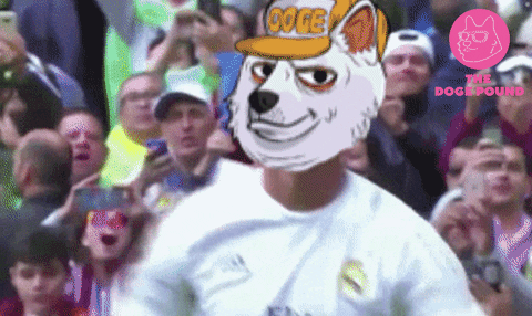 Dog Ronaldo GIF by The Doge Pound thumbnail