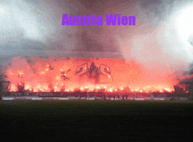 Austria Wien GIF
