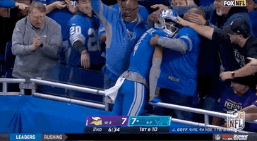 Detroit Lions Hug GIF by NFL