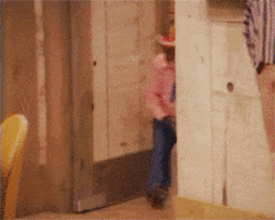 Laverne And Shirley Monkey GIF