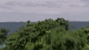 krakow2016  GIF