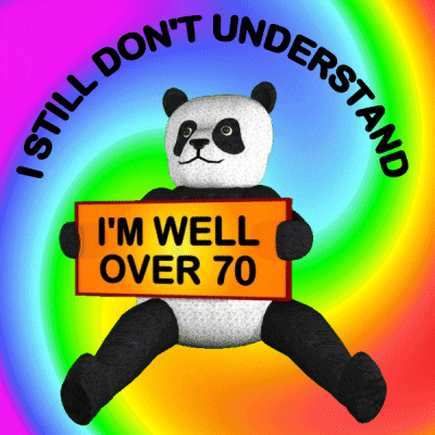 Panda I Dont Understand GIF