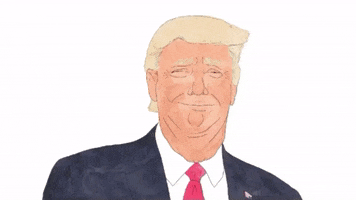 Donald Trump GIF by Pretty Whiskey / Alex Sautter