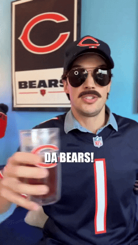Chicago Bears Fans GIF