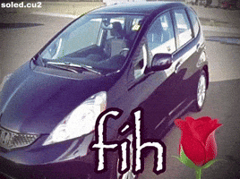 Honda Fih GIF
