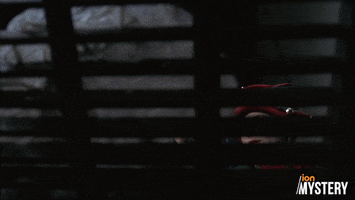 Christmas What Is That GIF by ION Mystery