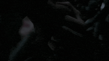AshleyBrie55  GIF