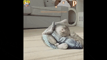 Animated GIF
