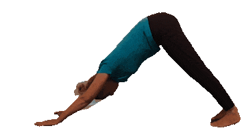 Yoga Loes Sticker by ADEM IN & UIT