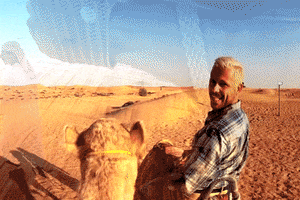 alessandromarras- dubai camel alessandro viaggi GIF