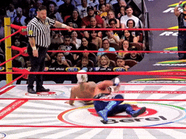 Lucha Libre Wrestling GIF