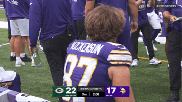 Nfl Scream GIF by Minnesota Vikings