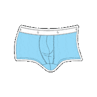 Underwear Sticker by Ven Label