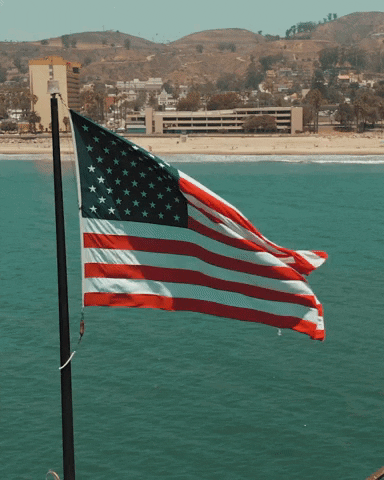 Droning American GIF by Jocqua - Find & Share on GIPHY