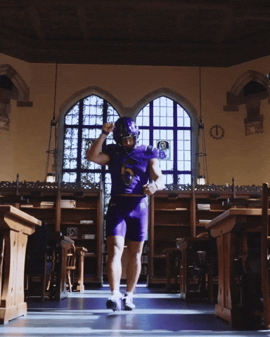 Northwestern Football GIF by Northwestern Athletics