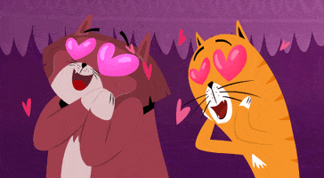 Cats Hearts GIF by Kitty Is Not A Cat