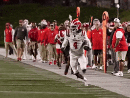 Mater Dei Kdw GIF